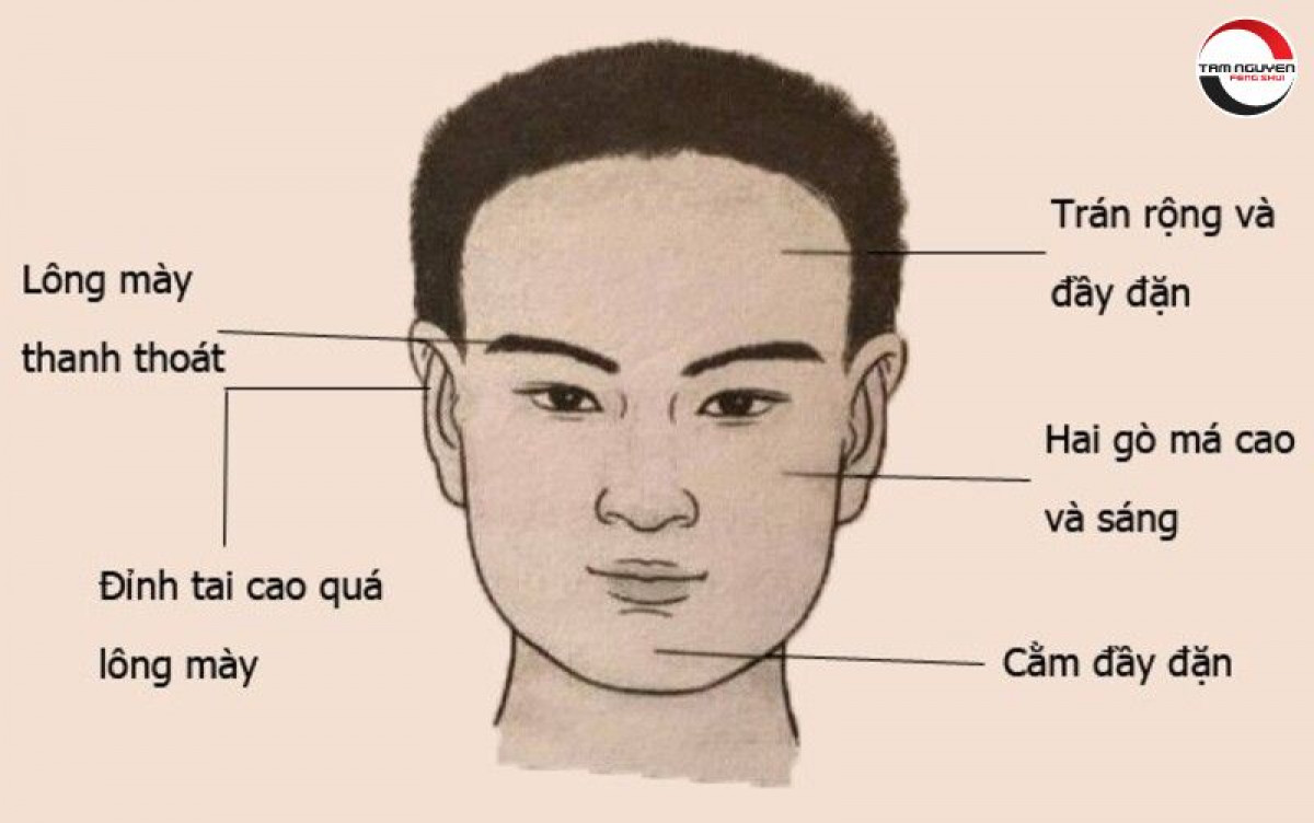 TƯỚNG PHỤ NỮ CÓ SỐ XUẤT NGOẠI QUA ĐẶC ĐIỂM KHUÔN MẶT