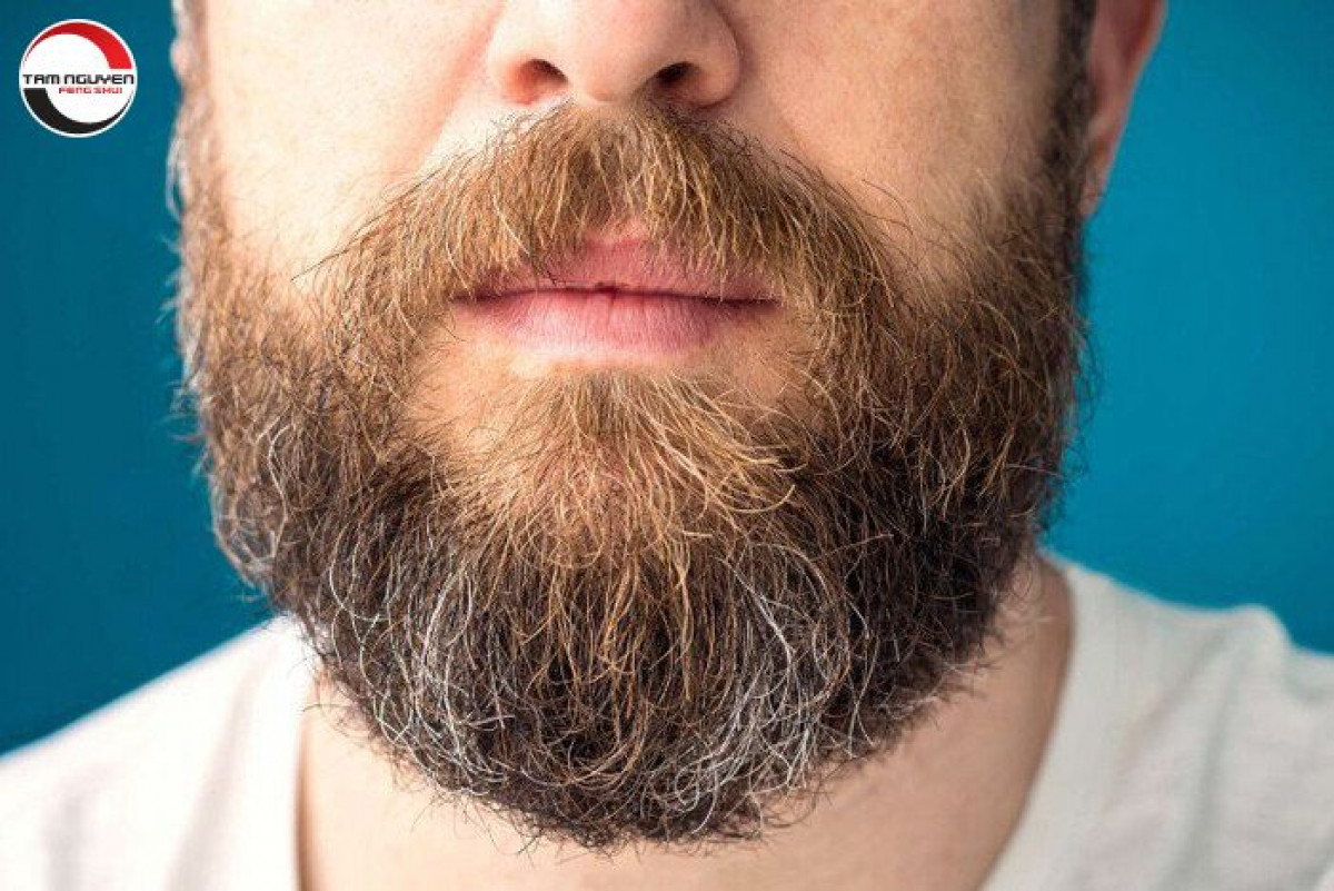 Xem 8 tướng râu đàn ông phổ biến đoán tính cách chọn chồng