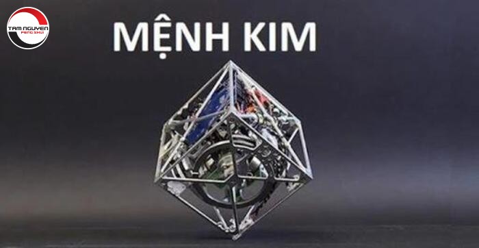 mệnh kim hợp màu xe gì