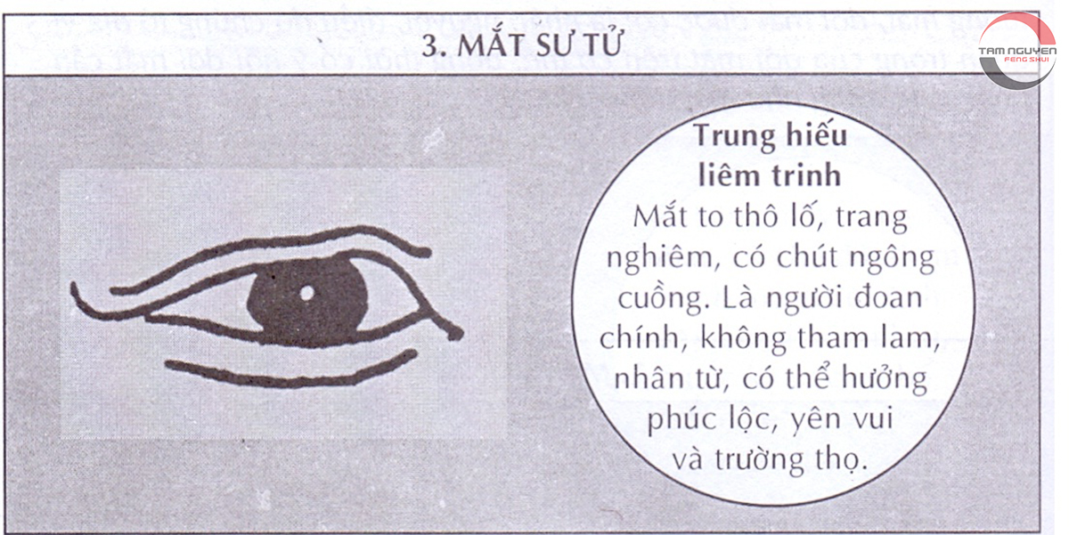 tướng mắt