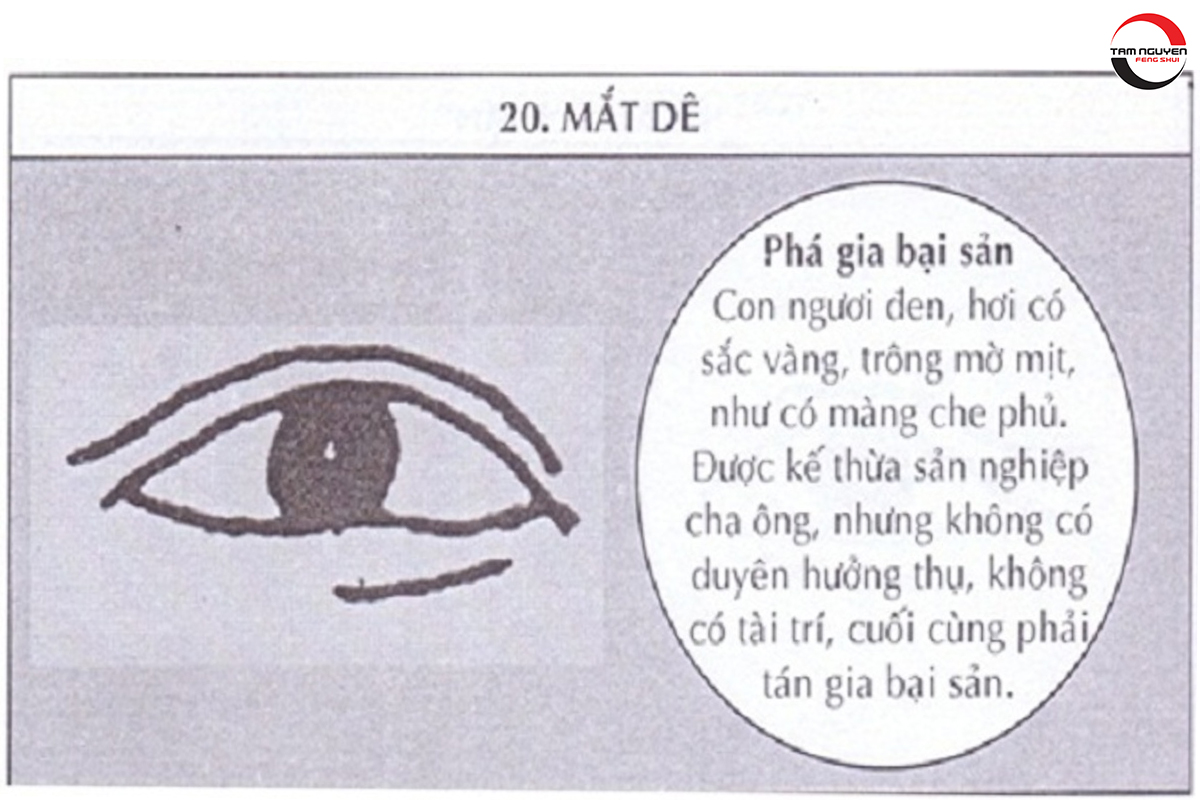 xem tướng mắt