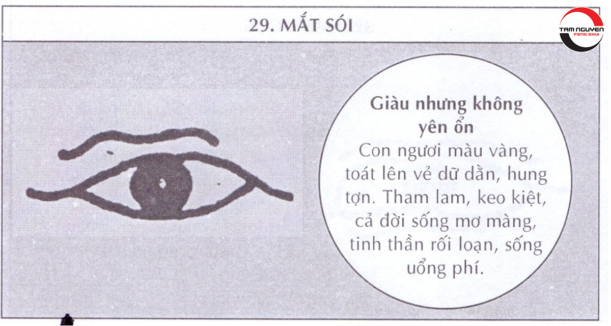 những kiểu mắt