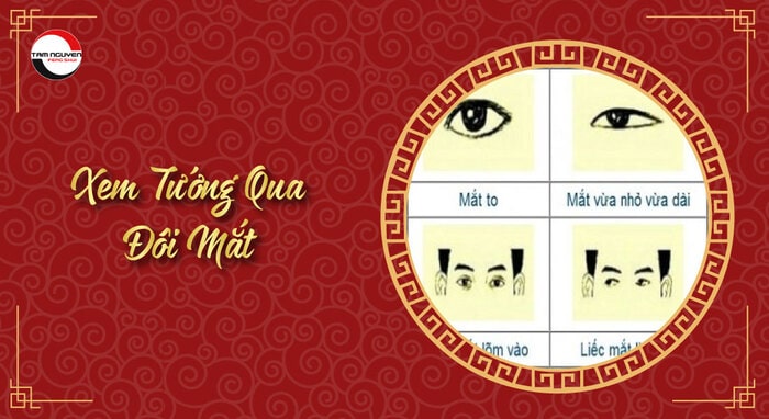 xem nhân tướng học qua khuôn mặt