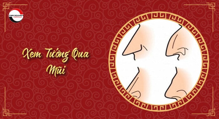 xem tướng mặt
