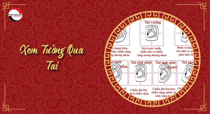 xem tướng mặt