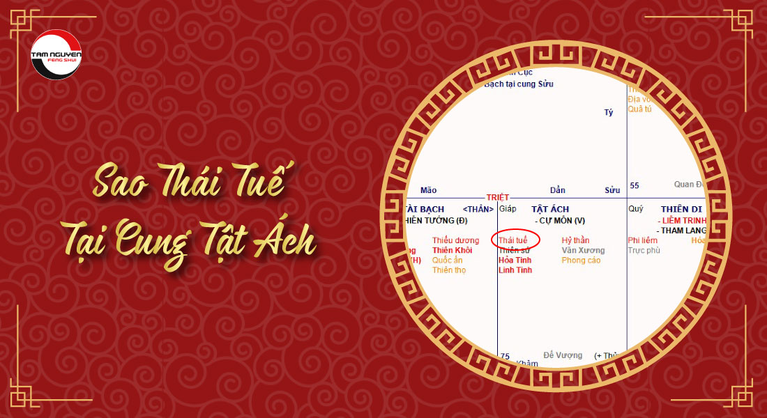 lưu thái tuế cung mệnh