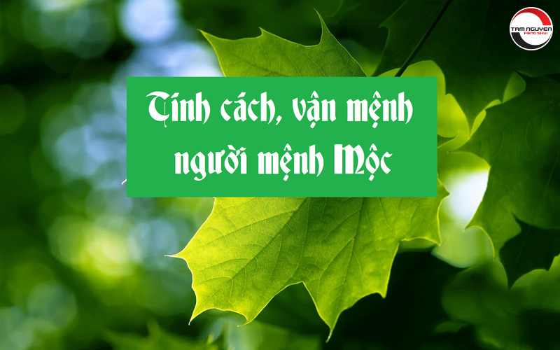Tên con hợp mệnh mộc