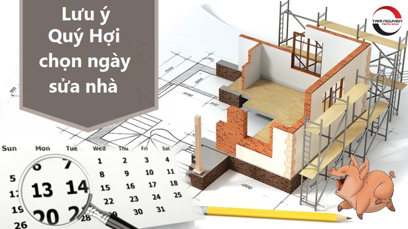 ngày sửa nhà tuổi quý hợi